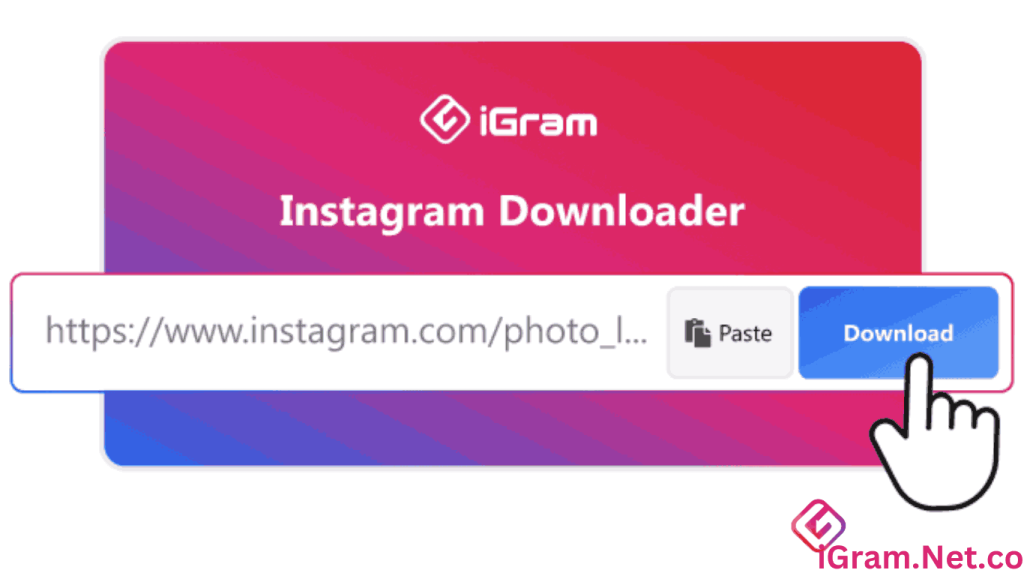 Second Step where you need to paste the Url of copied Instagram Photos for downloading.