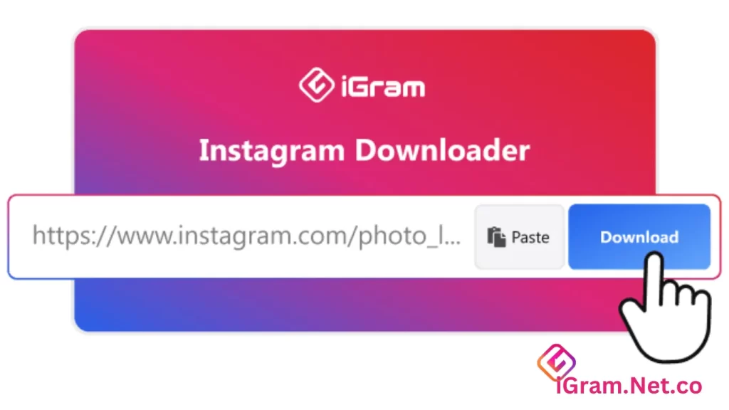 Step-2 Paste utl in igram downloader 